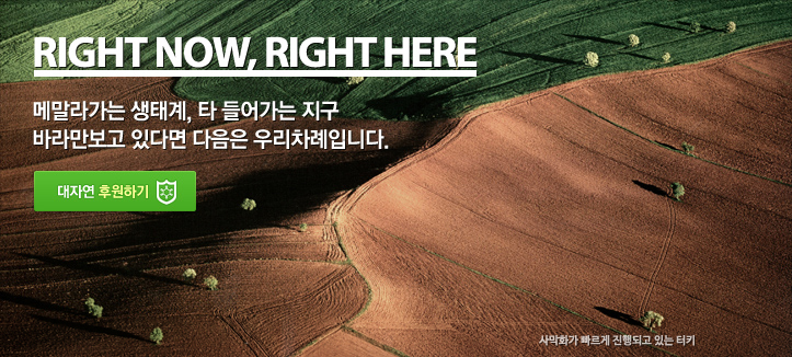 RIGHT NOW, RIGHT HERE (사막화가 빠르게 진행되고 있는 OO지역 - 아이티)