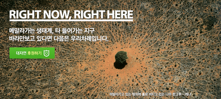 RIGHT NOW, RIGHT HERE (메말라가고 있는 땅위에 홀로 버티고 있는 나무 한그루 - 아이티)