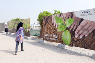 Climate Action
